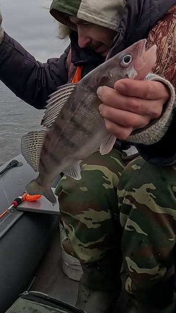 Хороший берш на нытье ))