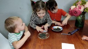 Полезный урок: «Ёжик»