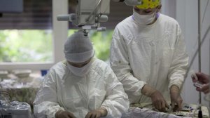 Подмосковные хирурги вытащили из глаза участника СВО осколок пули