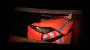 Фильм «Горыныч»📽️✌️