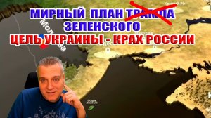 Мирный план Трампа Зеленского. Цель Украины - КРАХ России