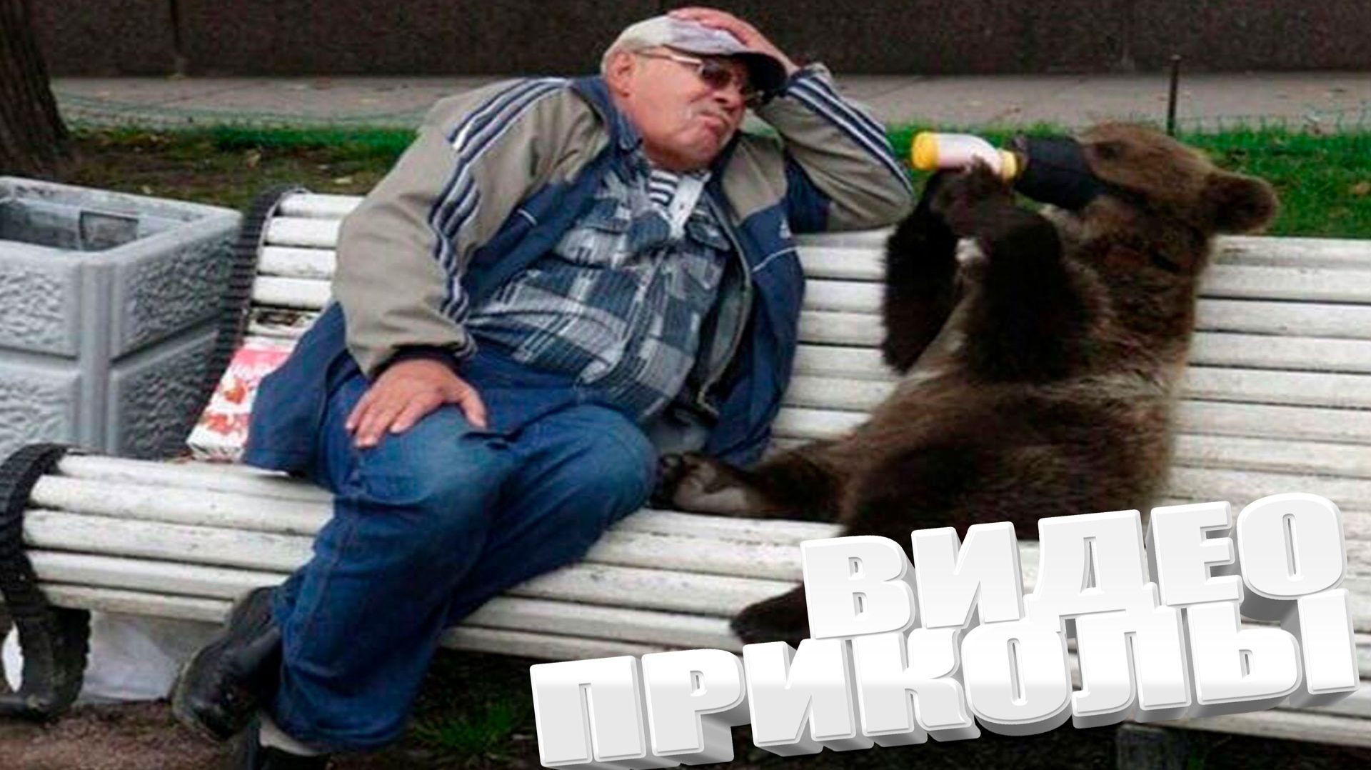 ТОПОВЫЕ ПРИКОЛЫ 2025 \ СМЕШНЫЕ ВИДЕОПРИКОЛЫ \ КАЧЕСТВЕННАЯ ПОДБОРКА ВИДЕОПРИКОЛОВ