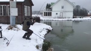 поимка форели на фидер