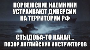 Норвегия рискует стать воюющей стороной и откровения британского офицера | Крамаровский