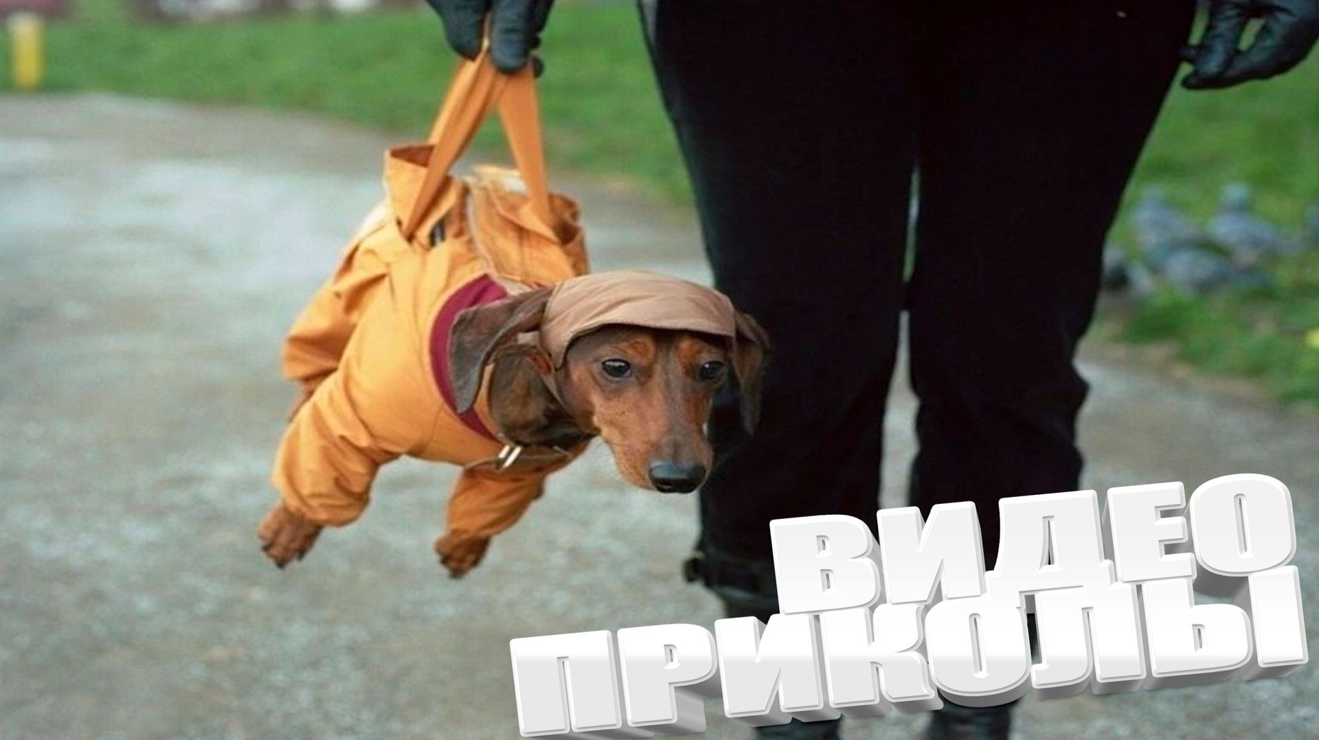 ОТБОРНЫЕ ПРИКОЛЫ \ САМЫЕ СМЕШНЫЕ ПРИКОЛЫ 2025года \ ОЧЕНЬ СМЕШНЫЕ ВИДЕОПРИКОЛЫ