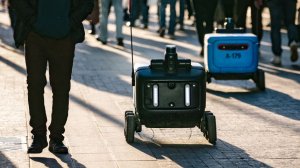 Особые требования: в Москве утвердили правила для роботов-доставщиков