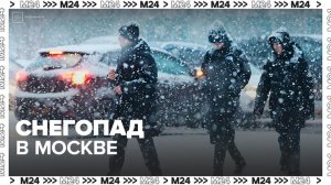 Снегопад накрыл Москву на фоне потепления - Москва 24