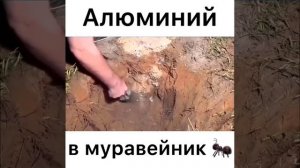 Алюминий в муравейник.