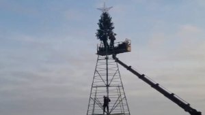 В городах Кубани начали устанавливать новогодние елки