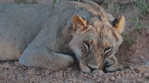 БЕЗУМНО КРАСИВАЯ И ПОТРЯСАЮЩАЯ МУЗЫКА ДЛЯ ДУШИ!