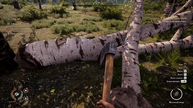 Medieval Dynasty #18 СБОР РЕСУРСОВ