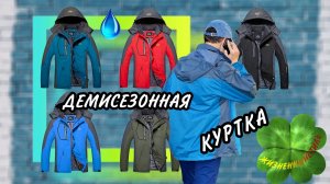 ДЕМИСЕЗОННАЯ КУРТКА Арт: ALI2055688385