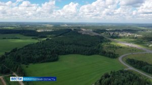 План по лесовосстановлению перевыполнен в Вологодской области