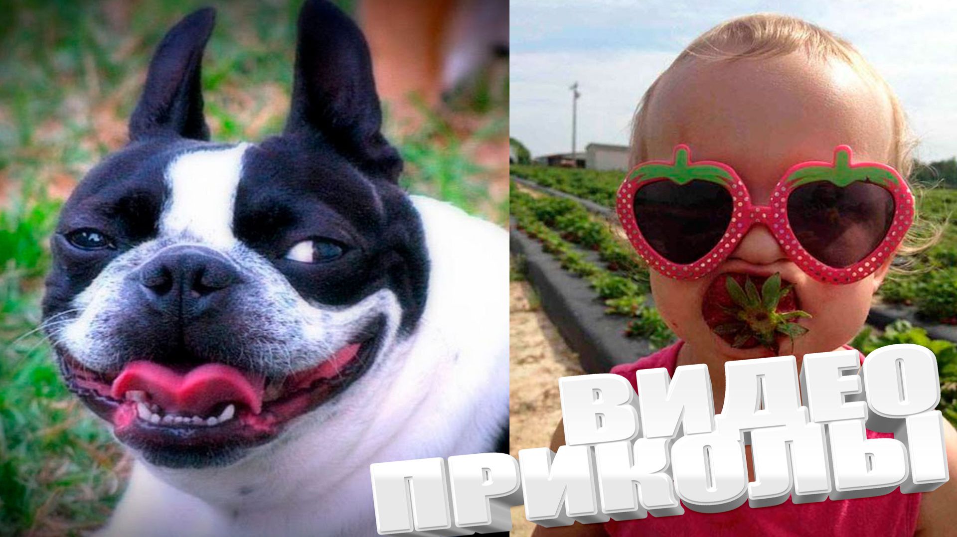 ТОПОВЫЕ ПРИКОЛЫ 2025 \ СМЕШНЫЕ ВИДЕОПРИКОЛЫ \ КАЧЕСТВЕННАЯ ПОДБОРКА ВИДЕОПРИКОЛОВ