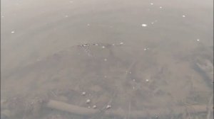 Береговая рыбалка на Оке