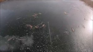 оз. _РЕЧНОЕ_. Подледные съемки. 21.11.2025 г.