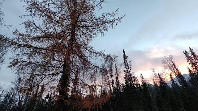 Здоровый выходной в нашей семье