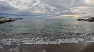 Покормили СОБАК на набережной Рыжик с КОМФОРТОМ едет домой.ЯЛТА в ноябре.Крым сегодня