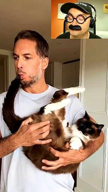 Откуда звук? смотреть онлайн