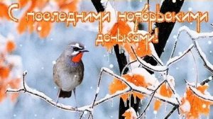 С последними днями ноября. Музыкальная открытка.