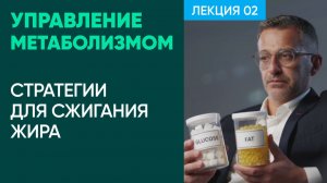 Управление Метаболизмом: Ключевые Стратегии для Сжигания Жира