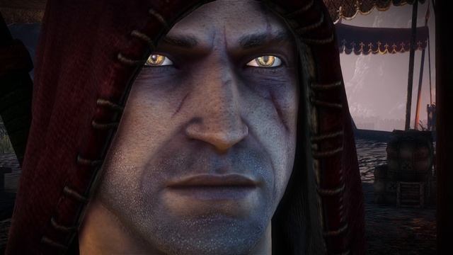 Ведьмак 2_ Убийцы королей #Полное прохождение#24