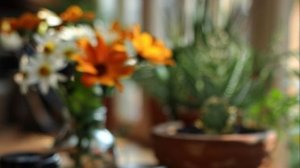 Доброе утро - Пусть день будет счастливым