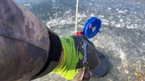 РЫБАЛКА НА ЖЕРЛИЦЫ! ВТОРОЙ ЛЁД #рыбалка #врек #fishing #рыбалканаозере #щуканажерлицы #щука #щуки