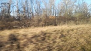 Тульская земля! 26.11.25