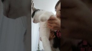 VID_20251126_174556.mp4