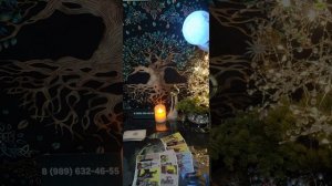 таро расклад