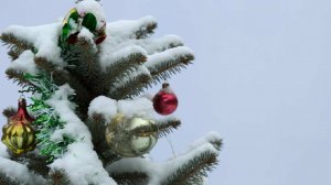 Merry Christmas: рождественская ель убила рабочего в Бразилии