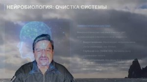 Мозг - это оружие. Оружие надо чистить