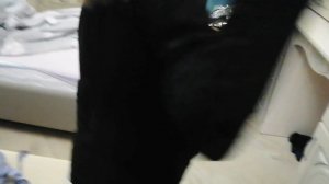 пол это лава 🌋