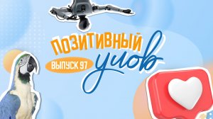 Робот Владимира Путина и очень болтливый попугай. "Позитивный улов"