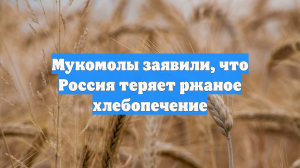 Мукомолы заявили, что Россия теряет ржаное хлебопечение
