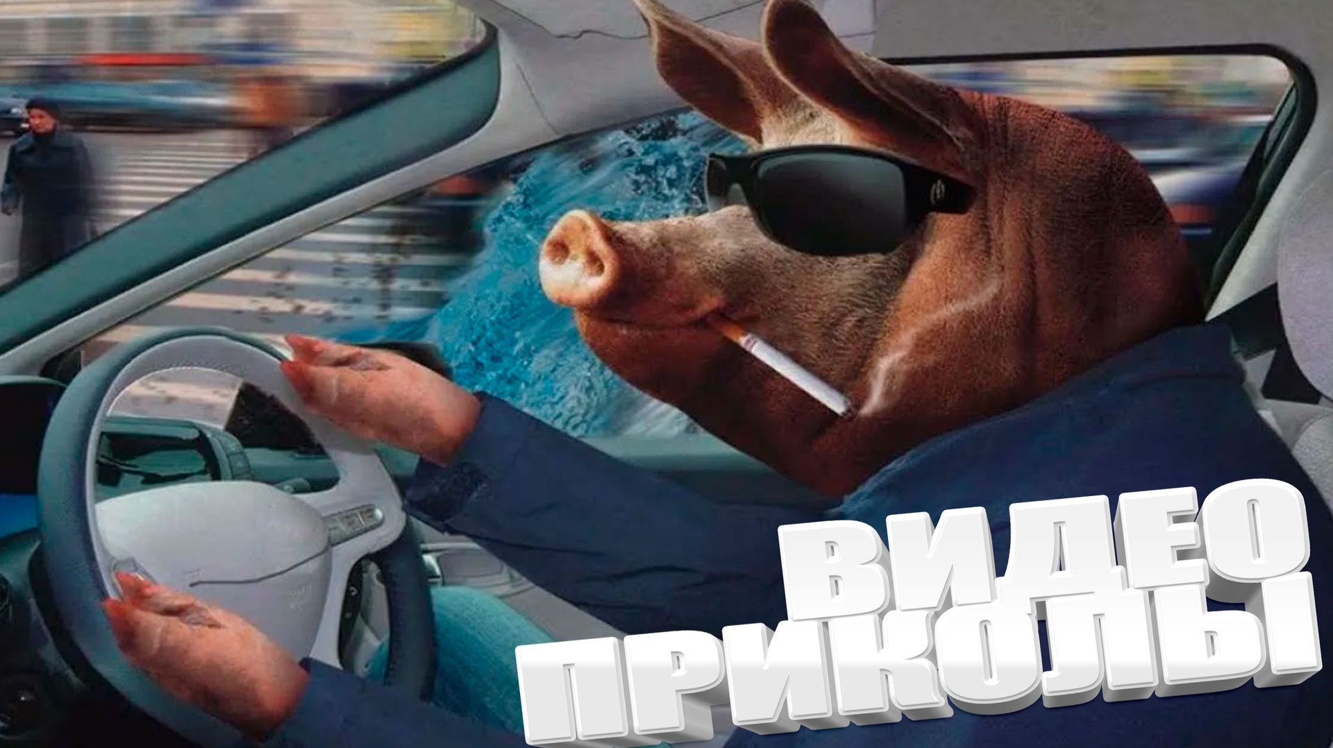 ТОПОВЫЕ ПРИКОЛЫ 2025 \ СМЕШНЫЕ ВИДЕОПРИКОЛЫ \ КАЧЕСТВЕННАЯ ПОДБОРКА ВИДЕОПРИКОЛОВ