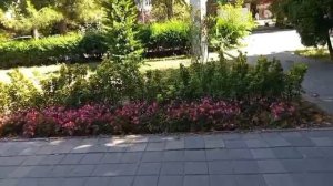 #гуляем по  шикарной Анапе