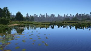 Русская рыбалка 4. Идём ловить крупную плотву.