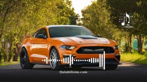 Take me higher  Bass Boosted Best of EDM 2024  DJ Remix Car   House   Party  AI Music