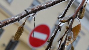 Синоптики ФОБОС: испортивший погоду на Русской равнине циклон перешел в Сибирь