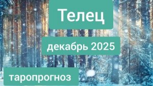 Телец ♉, декабрь 2025