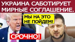 Украина срывает мирный план США. Трамп сделал жёсткое послание Зеленскому