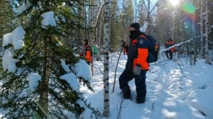 В районе поисков пропавшей под Красноярском семьи ожидаются 30-градусные морозы