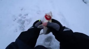 ТА САМАЯ ЛУНКА, КОТОРУЮ Я ИСКАЛ! Поклёвка, которую не забыть! Рыбалка на балансиры в коряжнике