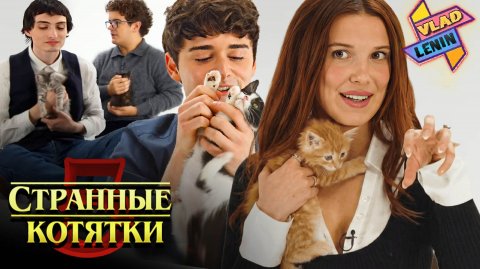Актеры Stranger Things 5 играют с котятами | На русском