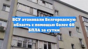 ВСУ атаковали Белгородскую область с помощью более 60 БПЛА за сутки