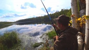 РОТАНЫ МУТАНТЫ АТАКУЮТ, ВОТ ЭТО КЛЕВ!