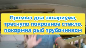 Промыл два аквариума, треснуло покровное стекло, покормил рыб трубочником