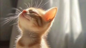 необычные пожелания с добрым утром